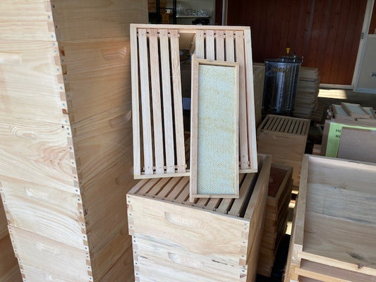 Medium Honey Super with  Frames and Foundation (10frame)