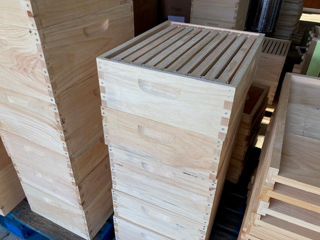 Medium Honey Super with Frames and Foundation (10frame)