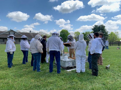 Beginner's Beekeeping Class 2027