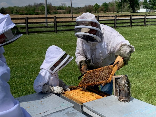 Beginner's Beekeeping Class 2027