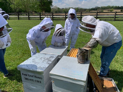 Beginner's Beekeeping Class 2027