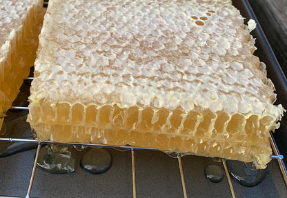 Comb Honey