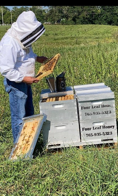 Apiary with four hives.